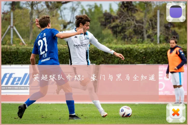 英超球队介绍:豪门与黑马全知道